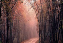 药效已无药厂现状：德国杯负德丙队+欧冠0-5出局+德甲6分劣势.