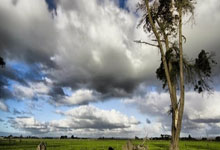 恭喜,图多尔成为尤文图斯主教练.