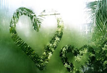 虎扑体育：塞尔吉尼奥：选国安7号也不错 渴望尽快帮助中国队.